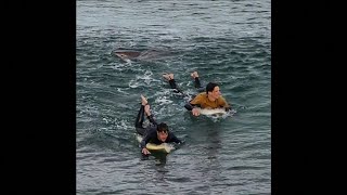 Caught on Camera Shark bites surfers leg in Australia [upl. by Eryt]