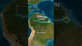 Why The Amazon River Has No Bridges 🤯 One of the Worlds Longest Rivers 🌊 [upl. by Sucirdor]