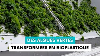 Eranova transforme les algues vertes de l’Étang de Berre en bioplastique [upl. by Wandis526]