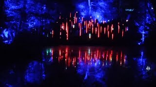 quotLate Night Trailquot  a magical light show in the forest OCT 2024 lasershows travelvlog magical [upl. by Eelatsyrc]