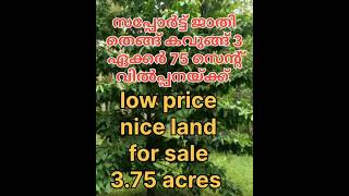 Superlandsuperlocationlandforsaleതെങ്ങ്മാവ്സപ്പോട്ടജാതിവിൽപ്പനയ്ക്ക് [upl. by Ecallaw]