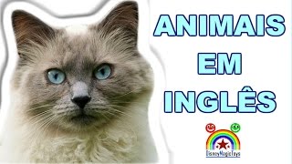 Animais em Inglês  Aprender nome de Animais em Ingles [upl. by Ididn]