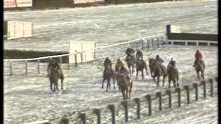 1987 Tote Cheltenham Gold Cup Chase [upl. by Airtap]