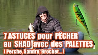 7 ASTUCES pour PECHER au SHAD avec des PALETTES [upl. by Pfeifer]