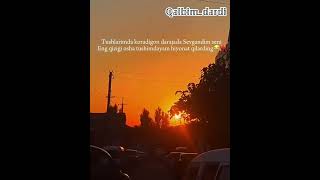 Tushlarimda koradigan darajada sevgandim youtubeshorts sad heartbroken love sadheartbroken [upl. by Eceinal]