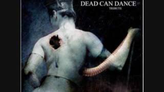 Faith And The Muse  Mesmerism Dead Can Dance Cover [upl. by Autrey]