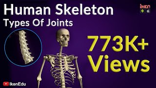 Human Skeleton and Types of Joints  Biology Video  Iken Edu [upl. by Hillary598]