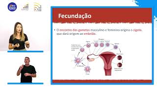 Biologia  Gametogênese e Embriologia [upl. by Notgnihsaw907]