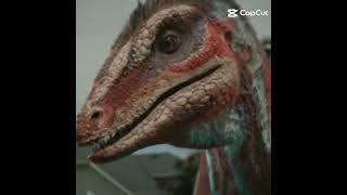 Megaraptor edit  edit dinosauros paleo paleontology megaraptor naoflopa [upl. by Garvy568]