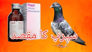 Flagyl Syrup Ka Faiyda [upl. by Alfreda]