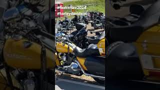 Harley Davidson Faaker See 2024 europeanbikeweek harleydavidson faakersee [upl. by Alinna]