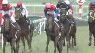 日本 寶塚紀念賽 Takarazuka Kinen「中山慶典」初次於阪神出賽即勝 2762010 [upl. by Leagiba]