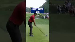 Tiger Woods INCREDIBLE recovery😱 [upl. by Annaicul821]