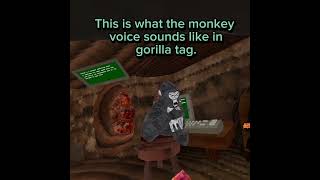 What do the monkey sounds in gtag translate to [upl. by Nolat959]