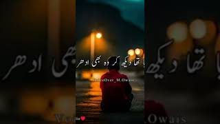 Dekha Palat Ke Usnay  sad shero shayari status 2024 shayari poetry like viral subscribe [upl. by Nitaf]