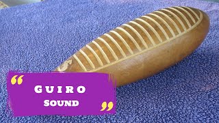 Guiro Sound with Light Drums Music Instrument [upl. by Ulrike]