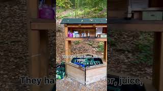 Drinks station at Forest 😱 germanvillagelifeshortscultureshockyoutubeshortskannadavlogs [upl. by Ateekal]