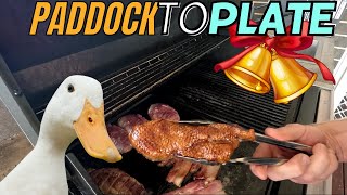 Paddock to Plate Christmas Part 1  DUCK [upl. by Ewnihc75]