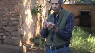 Intro to Dendrochronology  Thomas C Windes [upl. by Dietsche]