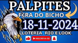 PALPITE DO DIA 18112024 FERA DO BICHO [upl. by Lauri591]