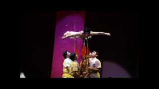 The Peking Acrobats® in 30 Seconds [upl. by Joycelin]