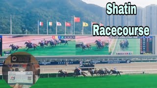 May the horse be with us🐴🤸‍♀️😹  Sha Tin Racecourse [upl. by Rustie113]