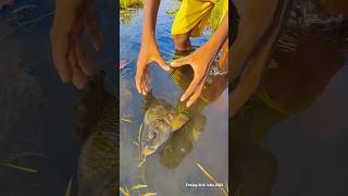 Unbelievable Hand Fishing💖 fishing minivlog minifish shortsvideo [upl. by Nylarak]