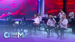 Orkestar Milosa Pavlovica Kike Skorpioni  Gulino kolo  LIVE  Tv Grand 18062024 [upl. by Etnomal]