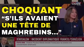 DÉCLARATIONS CHOQUANTES DE CETTE CHERCHEUSE SUR LE PLATEAU DE LCI Charbofficiel2 [upl. by Noemys434]