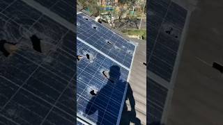 solar panel washing reels solar solarpanels solarenergy khansir viralshort [upl. by Jakie15]