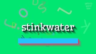 STINKWATER  HOW TO SAY STINKWATER stinkwater [upl. by Anabella286]