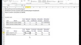 Interpreting Solver Sensitivity Report [upl. by Eahcim372]