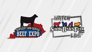 Jr Steer Show  Kentucky Beef Expo 2024 [upl. by Alexandr]