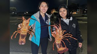 Lobster Fishing  Hooping for CALIFORNIA SPINY LOBSTER [upl. by Atina]