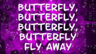 Miley Cyrus Butterfly fly away lyrics [upl. by Aronek]