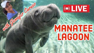 🔴LIVE Manatee Lagoon [upl. by Arreis121]