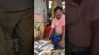 Famous FishMarket ❤️of Orissa🇮🇳 ₹100 streetfood food india shorts [upl. by Aeslek]