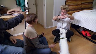 Heres How You Teach A Dog Sign Language  Rescue Dog to Super Dog [upl. by Ibloc995]