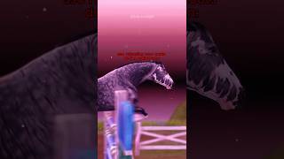 sso new horses ssospoiler sso ssoedit starstable [upl. by Nadroj633]