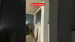 Electric Fence Installation electricfencesystems electricfence fence fencing shortsfeed yt [upl. by Adao]