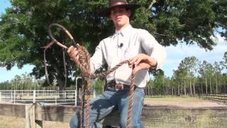 Explaining The Hackamore And Bosal [upl. by Henrik862]