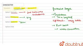 Epiblema of roots is equivalent to  12  ANATOMY OF FLOWERING PLANTS  BIOLOGY  VMC MODULES E [upl. by Adorl]