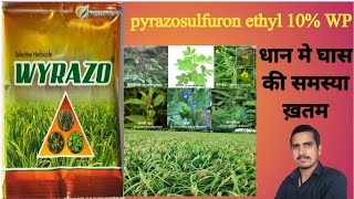 pyrazosulfuron ethyl 10 wp uses in hindipyrazosulfuron ethyl 10 wp uses in hindi dose [upl. by Tugman583]