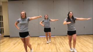 Wofford College Cheer Material DVD Part 1 [upl. by Hettie41]