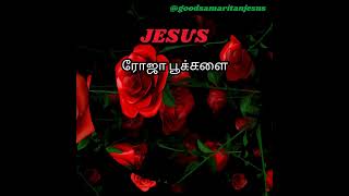 JESUS இயேசு  ரோஜா பூக்களை அள்ளி தூவுங்கள்  ROJA POOKALAI ALLI THOOVUNGAL tamilchristiansongs [upl. by Sayer]