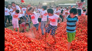 Tomato Festival in Spain  La Tomatina Festival Spain Bunol [upl. by Arlette88]