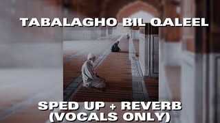 tabalagho bil qaleel  vocals only sped up reverb [upl. by Aridni]