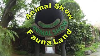 Jalan jalan ke Fauna Land Ancol  Animal Show [upl. by Lizabeth]