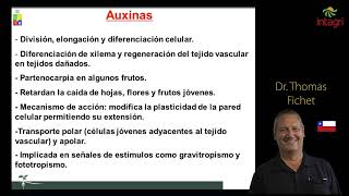 ¿Dónde actúan las auxinas [upl. by Ariamoy]