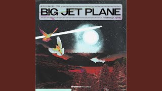 Big Jet Plane Pharmacist Remix [upl. by Quince268]